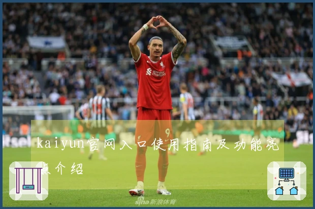 kaiyun官网入口使用指南及功能亮点介绍