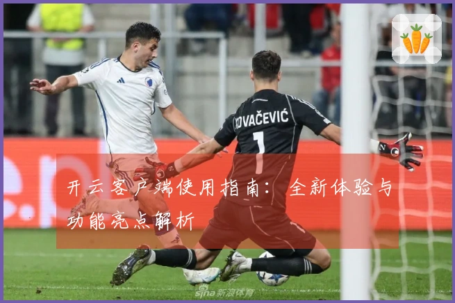 开云客户端使用指南：全新体验与功能亮点解析
