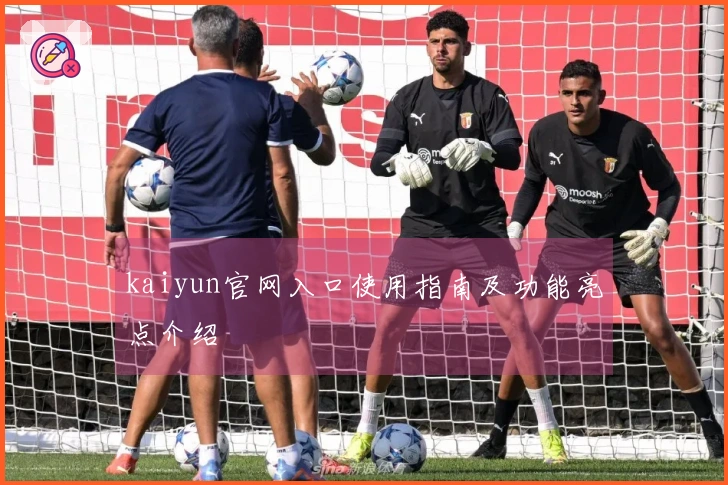 kaiyun官网入口使用指南及功能亮点介绍